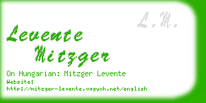 levente mitzger business card